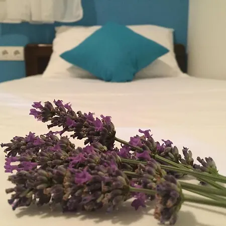 Appartement Franka Bol